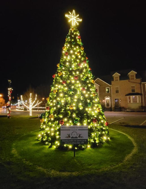 2022 Coe Lake Christmas Tree Project image 